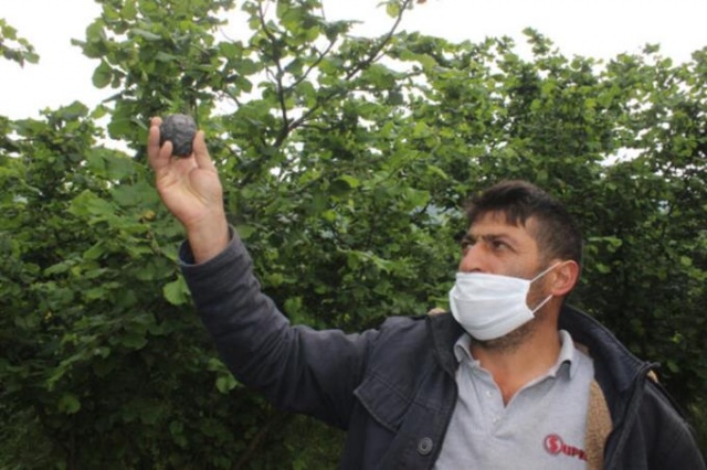 Ot biçerken bahçede gök taşı buldu 13