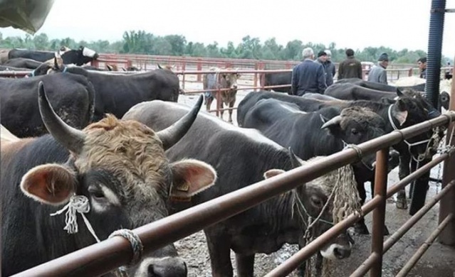 1 Haziran'dan itibaren neler değişecek? 14