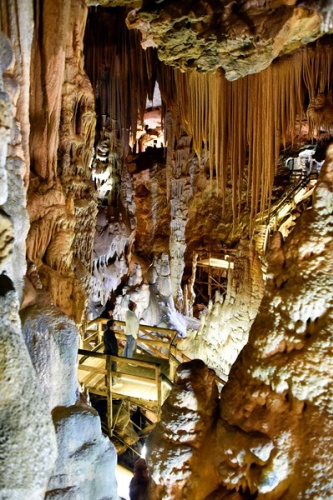 Doğu Karadeniz'de 150 milyon yaşındaki yer altı sarayında turizm sezonu başladı 14