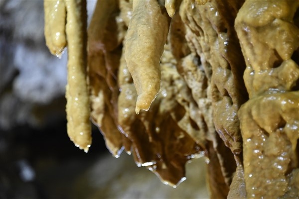 Doğu Karadeniz'de 150 milyon yaşındaki yer altı sarayında turizm sezonu başladı 2