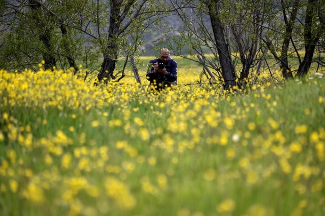 Yılda sadece 15 gün görülen manzara 11
