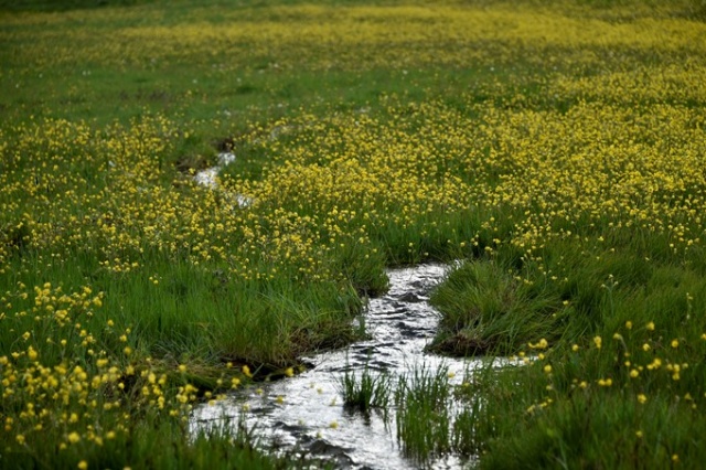 Yılda sadece 15 gün görülen manzara 17