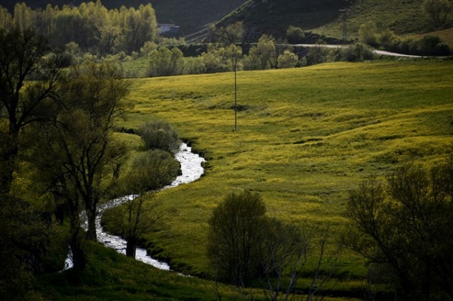 Yılda sadece 15 gün görülen manzara 14