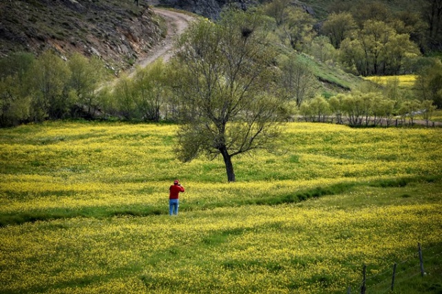 Yılda sadece 15 gün görülen manzara 15