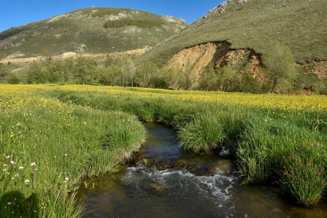 Yılda sadece 15 gün görülen manzara 16