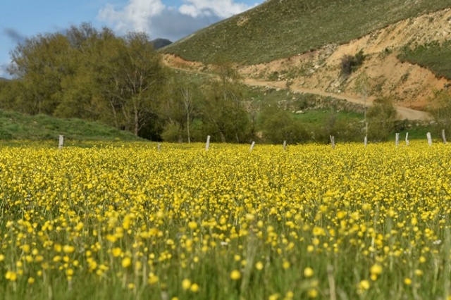 Yılda sadece 15 gün görülen manzara 12