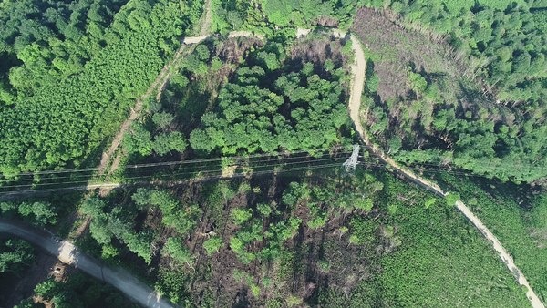 Trabzon dahil 7 ilde yangın çıkmıştı! Foto Haber 2