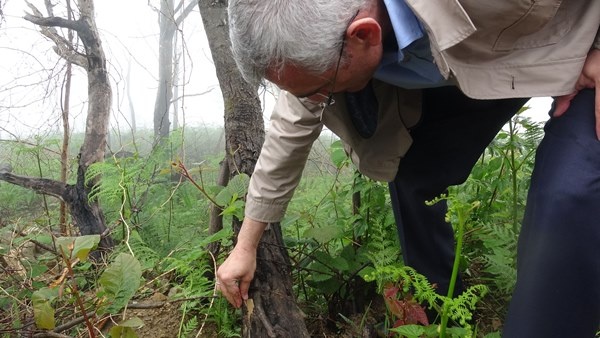 Trabzon dahil 7 ilde yangın çıkmıştı! Foto Haber 10