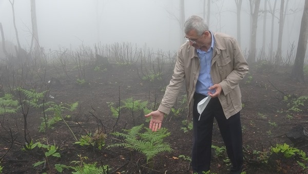 Trabzon dahil 7 ilde yangın çıkmıştı! Foto Haber 12