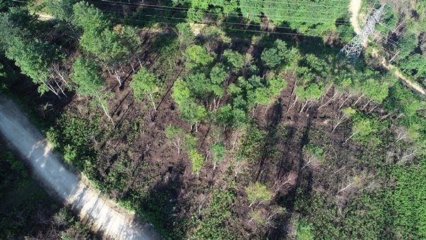 Trabzon dahil 7 ilde yangın çıkmıştı! Foto Haber 7