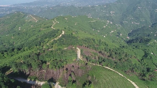 Trabzon dahil 7 ilde yangın çıkmıştı! Foto Haber 5