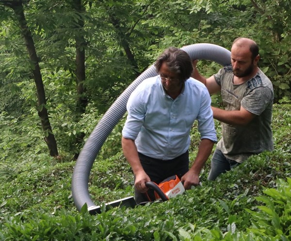 Rizeli'nin zekası iş başında! Çay toplamak çile olmaktan çıktı 2