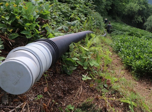 Rizeli'nin zekası iş başında! Çay toplamak çile olmaktan çıktı 6