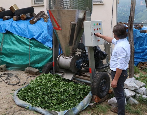 Rizeli'nin zekası iş başında! Çay toplamak çile olmaktan çıktı 4