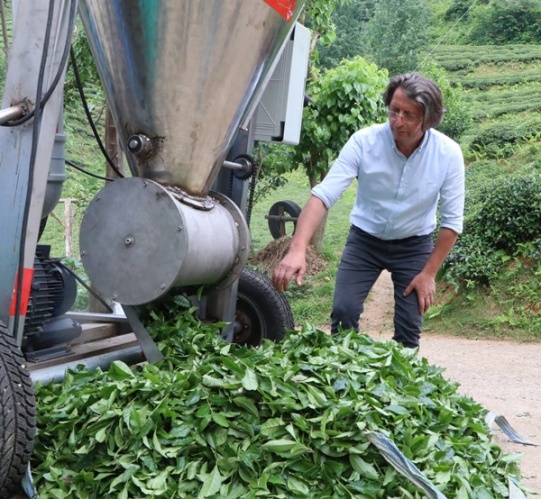 Rizeli'nin zekası iş başında! Çay toplamak çile olmaktan çıktı 16