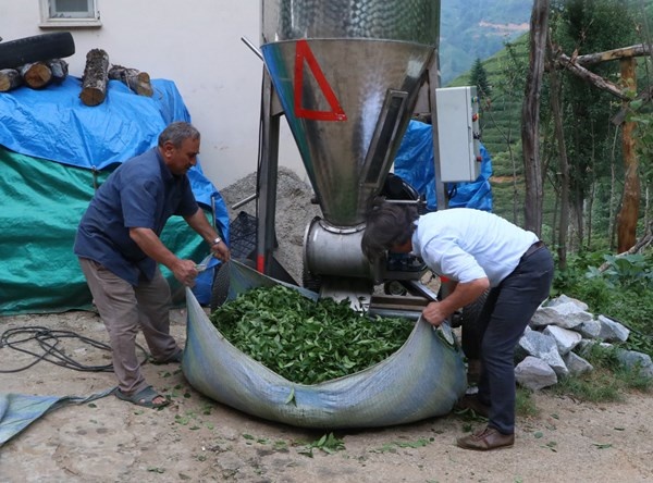 Rizeli'nin zekası iş başında! Çay toplamak çile olmaktan çıktı 12