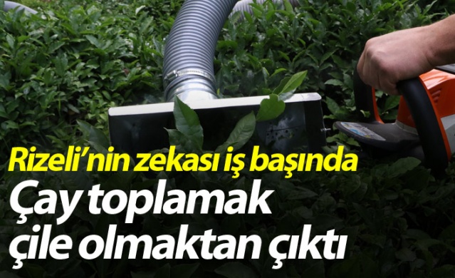 Rizeli'nin zekası iş başında! Çay toplamak çile olmaktan çıktı 1