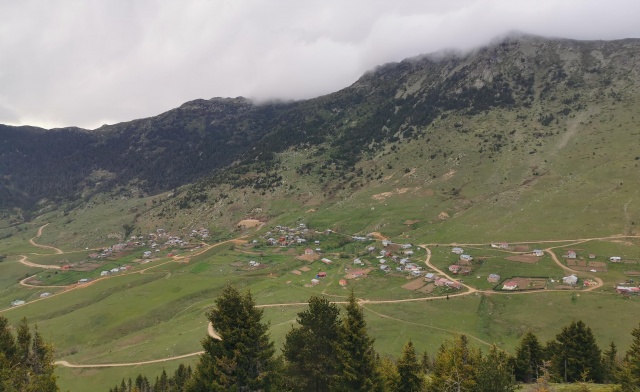 Karadeniz'de yeşile yolculuk başladı 10