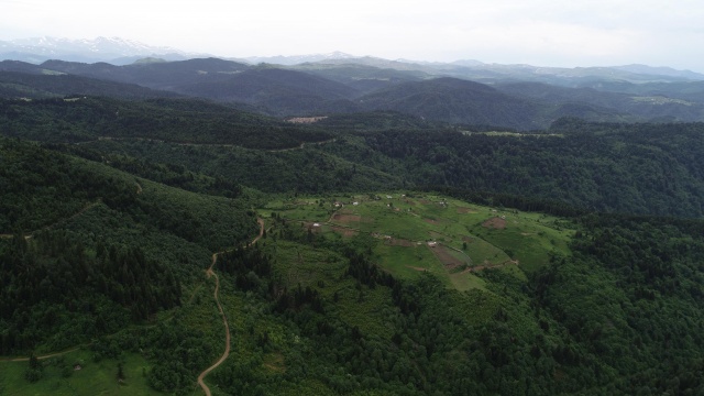 Karadeniz'de yeşile yolculuk başladı 8