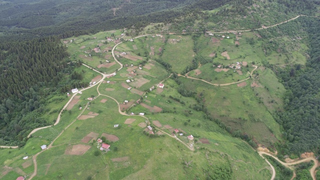 Karadeniz'de yeşile yolculuk başladı 12