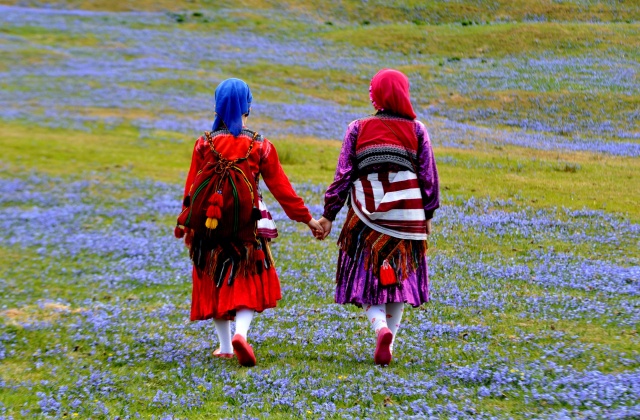 Karadeniz'de yeşile yolculuk başladı 2