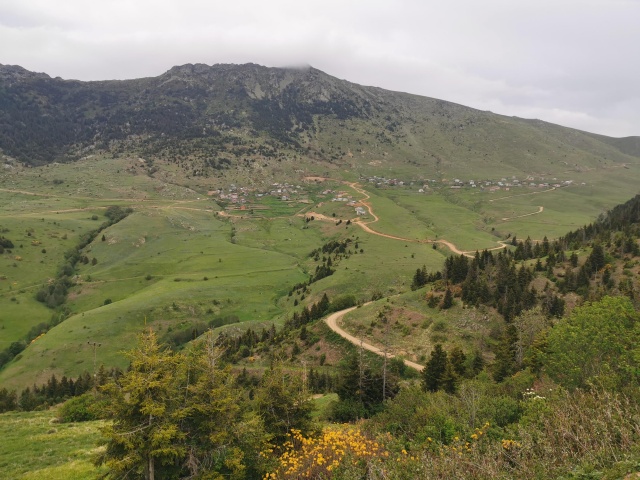 Karadeniz'de yeşile yolculuk başladı 13