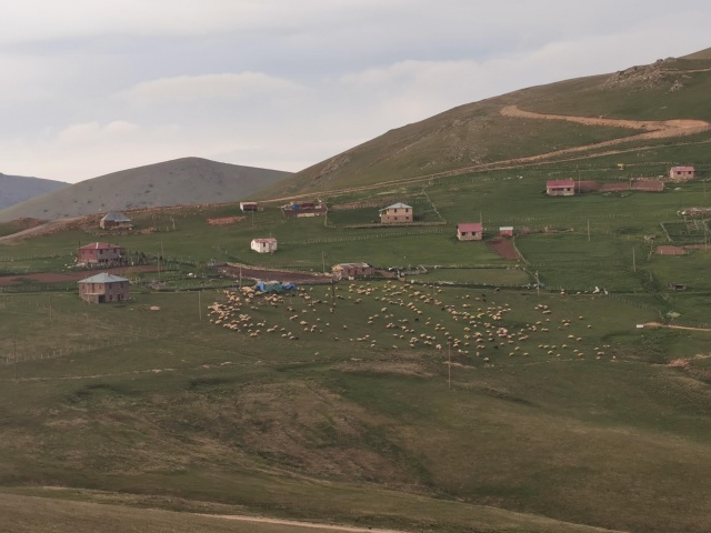 Karadeniz'de yeşile yolculuk başladı 6