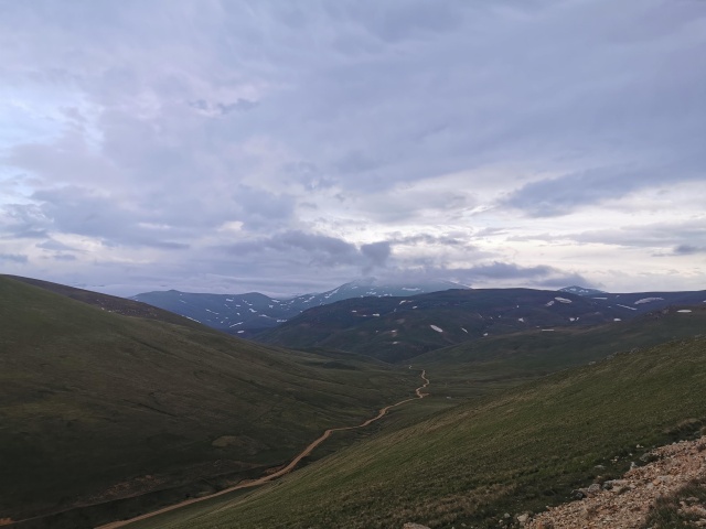 Karadeniz'de yeşile yolculuk başladı 5