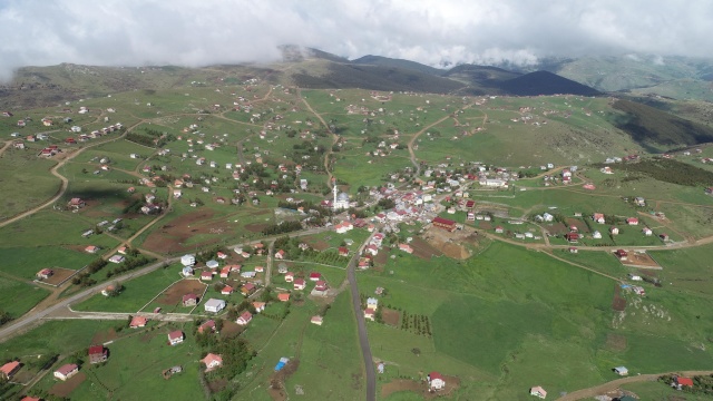 Karadeniz'de yeşile yolculuk başladı 15
