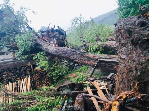 Ordu'yu sağanak yağış vurdu 8