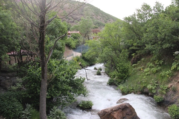 Doğu Karadeniz'in doğa harikası Tomara Şelalesi yeniden açıldı 6