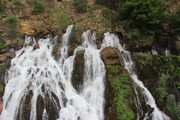 Doğu Karadeniz'in doğa harikası Tomara Şelalesi yeniden açıldı 10