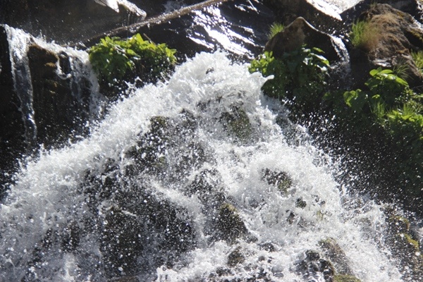 Doğu Karadeniz'in doğa harikası Tomara Şelalesi yeniden açıldı 8