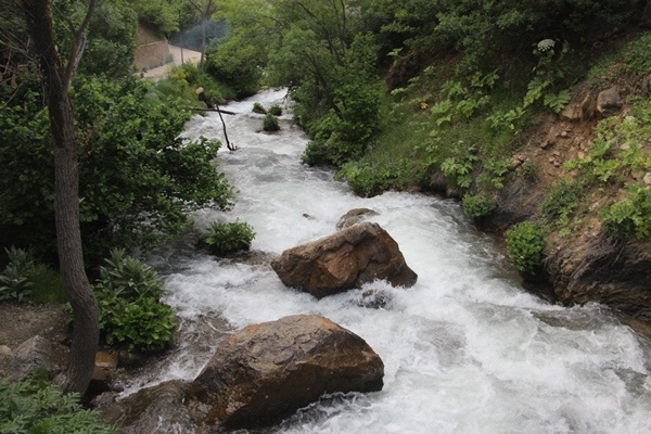 Doğu Karadeniz'in doğa harikası Tomara Şelalesi yeniden açıldı 9