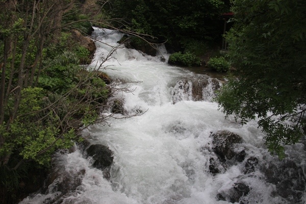 Doğu Karadeniz'in doğa harikası Tomara Şelalesi yeniden açıldı 7
