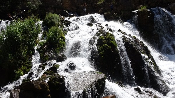 Doğu Karadeniz'in doğa harikası Tomara Şelalesi yeniden açıldı 2