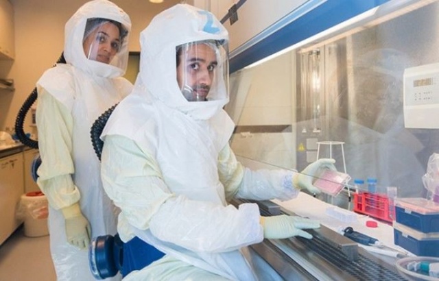 Koronavirüsün ilacı bulundu, DSÖ açıklama yaptı 2