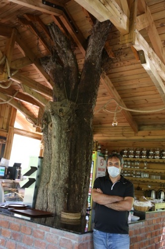 Ağaç sevgisi görenleri şaşkına çeviriyor 4