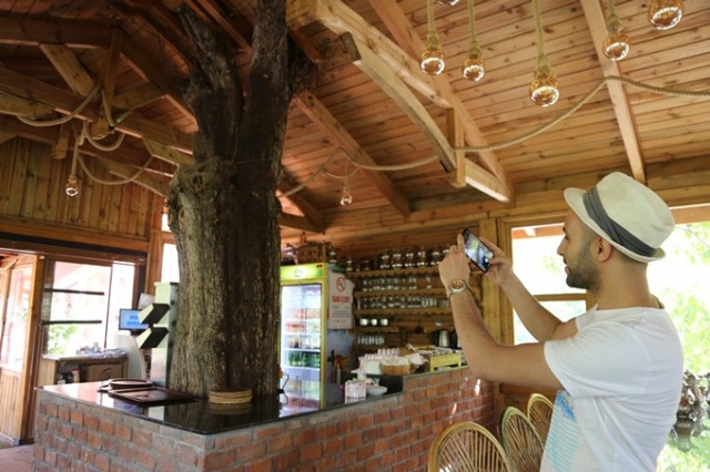 Ağaç sevgisi görenleri şaşkına çeviriyor 2