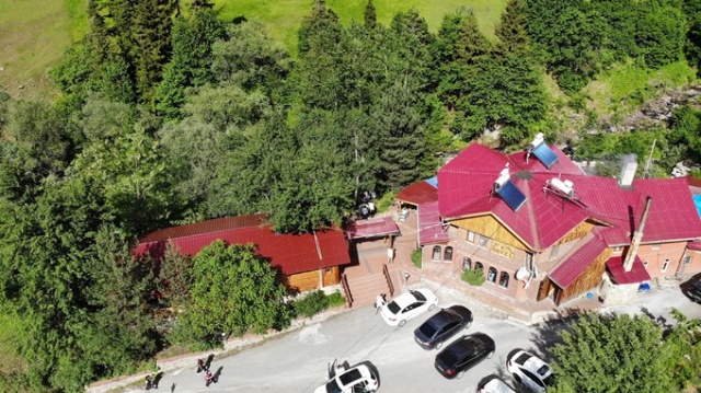 Ağaç sevgisi görenleri şaşkına çeviriyor 3