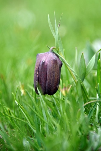 Ölmeden önce görülmesi gereken yerler arasında gösteriliyor 1