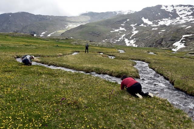 Ölmeden önce görülmesi gereken yerler arasında gösteriliyor 17