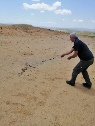 Eve 2 metre boyunda yılan girdi 5