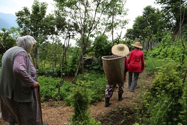 Altı tünel üstü tarla! Görenleri şaşırtıyor 9