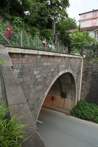 Altı tünel üstü tarla! Görenleri şaşırtıyor 8