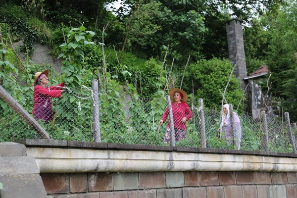 Altı tünel üstü tarla! Görenleri şaşırtıyor 6