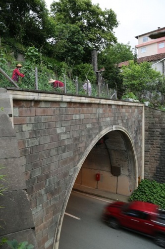 Altı tünel üstü tarla! Görenleri şaşırtıyor 5