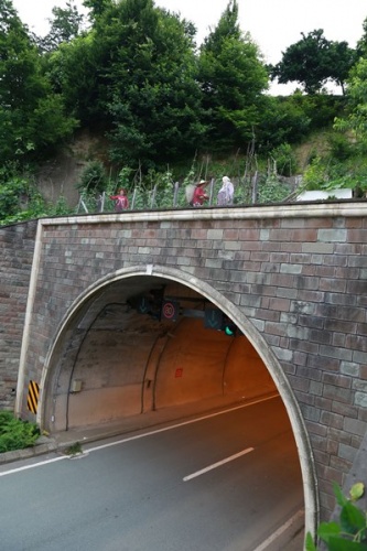 Altı tünel üstü tarla! Görenleri şaşırtıyor 13