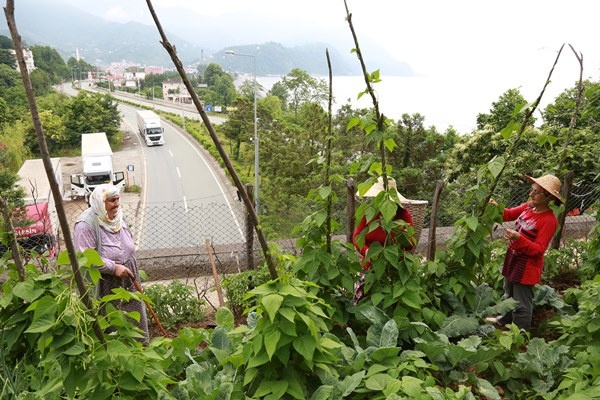 Altı tünel üstü tarla! Görenleri şaşırtıyor 16