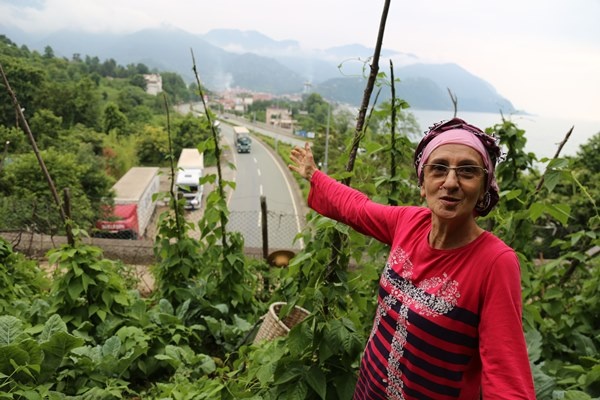 Altı tünel üstü tarla! Görenleri şaşırtıyor 10
